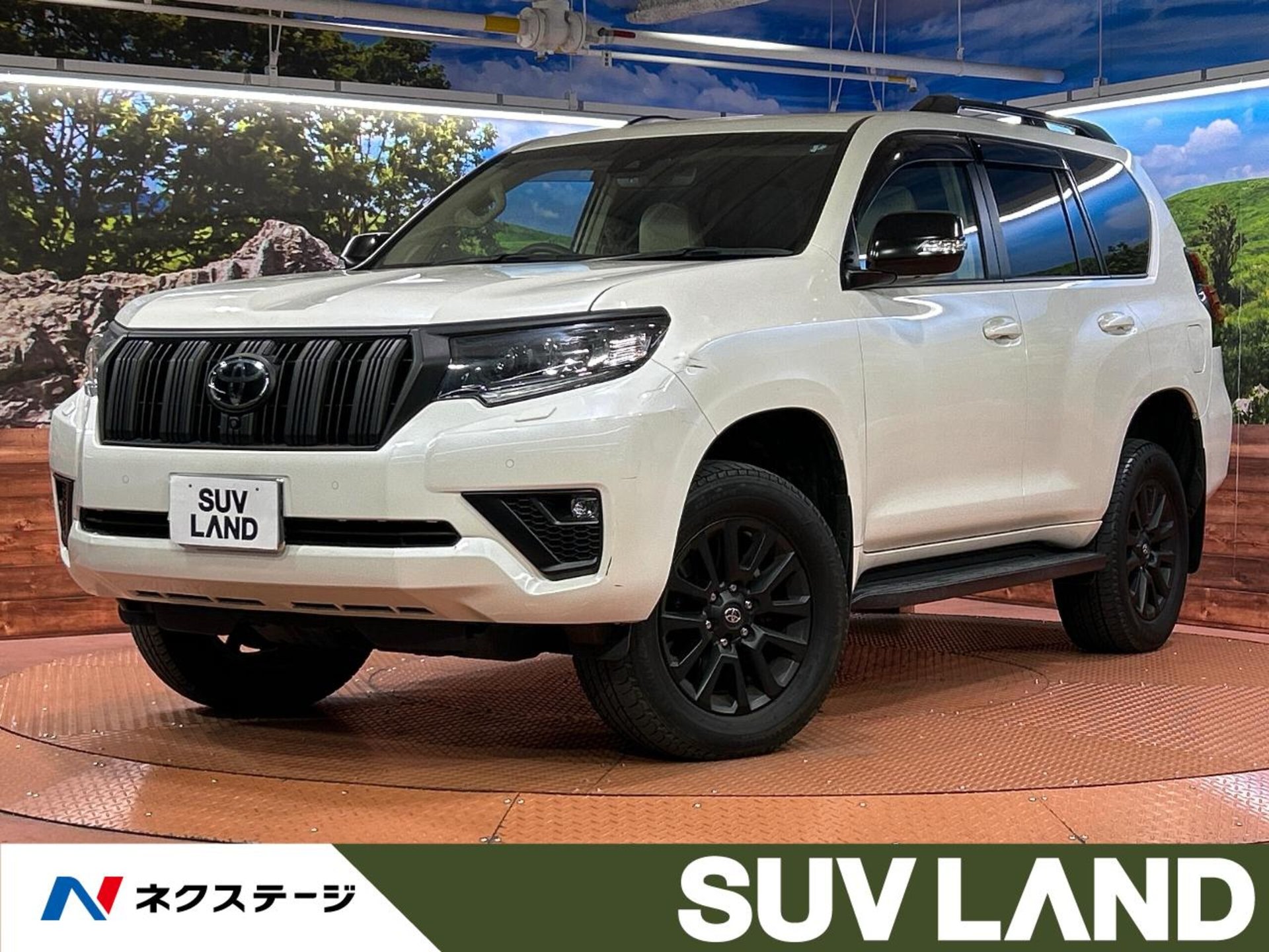 TOYOTA LAND CRUISER PRADO - View 1