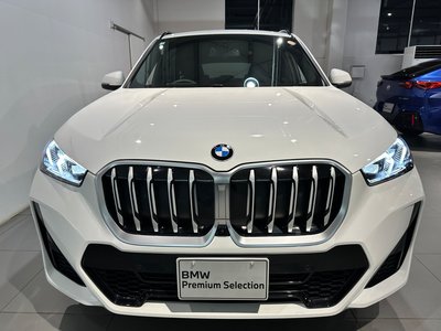 BMW X1 - 6