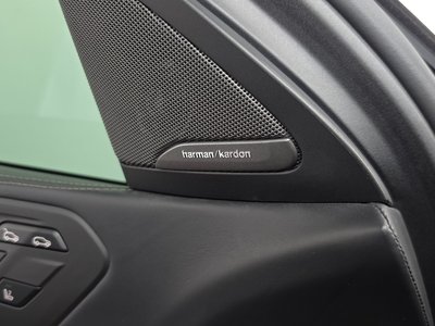 2020 BMW X6 thumbnail 36