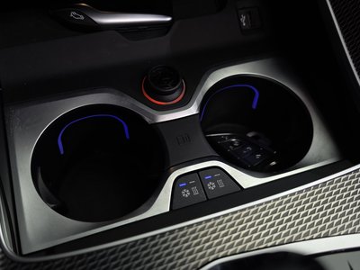 2020 BMW X6 thumbnail 21