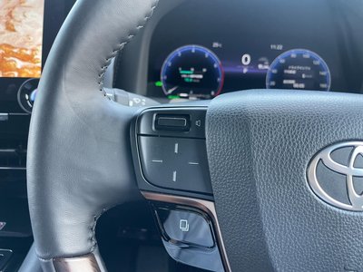 2025 TOYOTA ALPHARD thumbnail 18