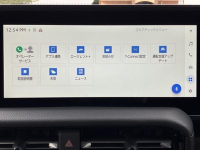 TOYOTA LAND CRUISER 250 - 10