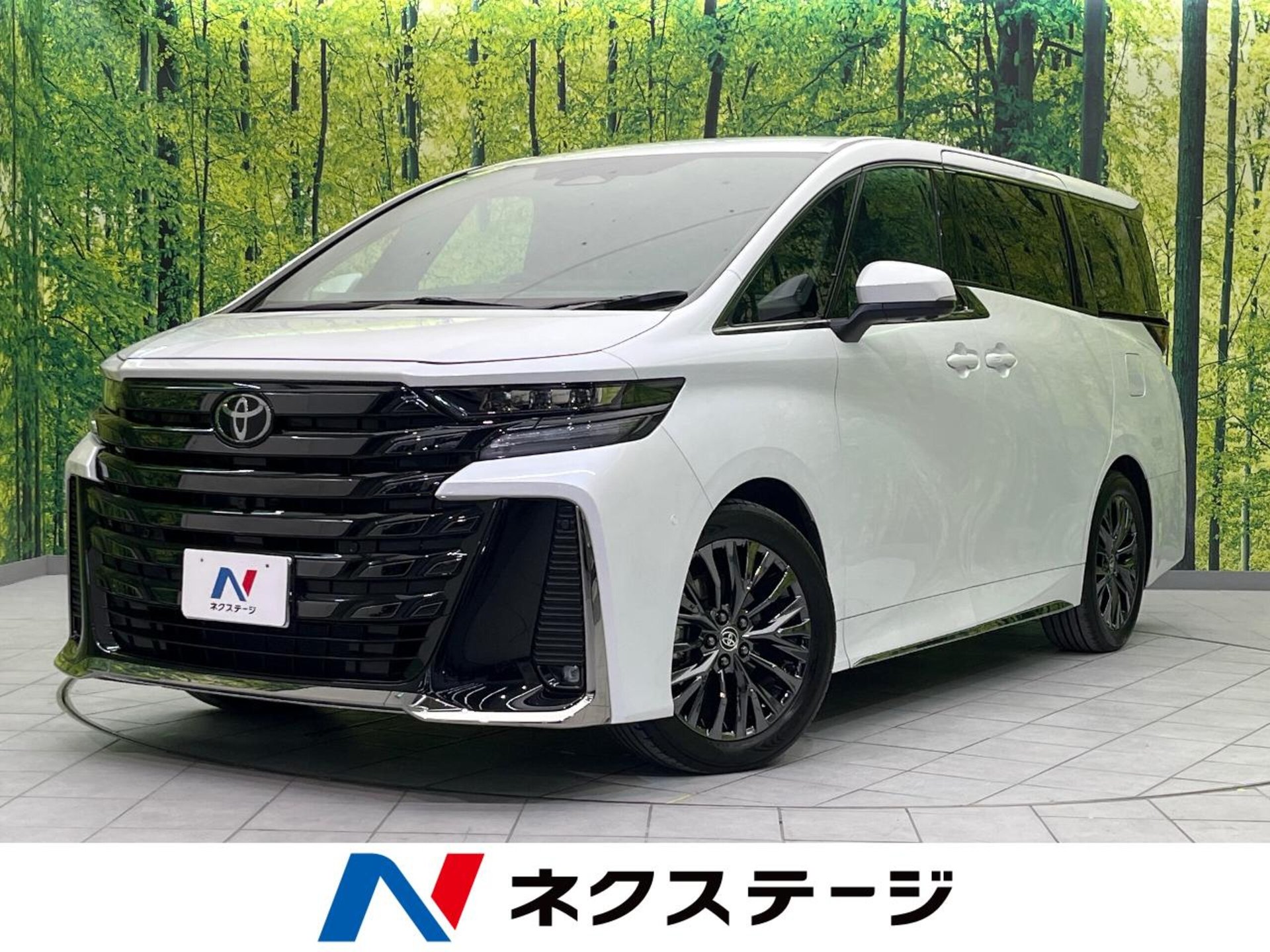 TOYOTA VELLFIRE - View 1