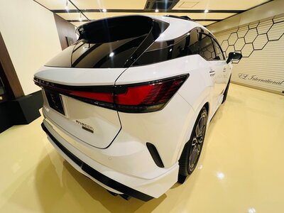 LEXUS RX - 10