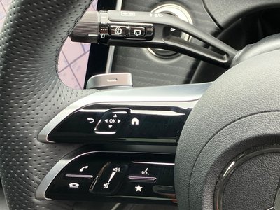 2025 Mercedes-BENZ E-CLASS 缩略图 30