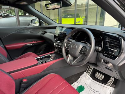 2024 Lexus RX — миниатюра 20