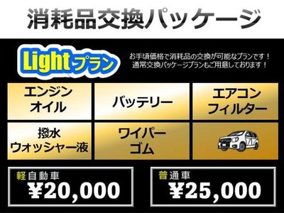 2019 Toyota LAND CRUISER 200 缩略图 27