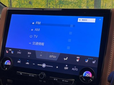 2023 Toyota VELLFIRE 缩略图 78
