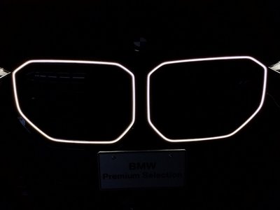 2025 BMW X3 thumbnail 75