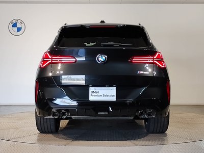 2025 BMW X3 thumbnail 11
