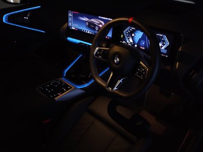 2025 BMW X3 thumbnail 76