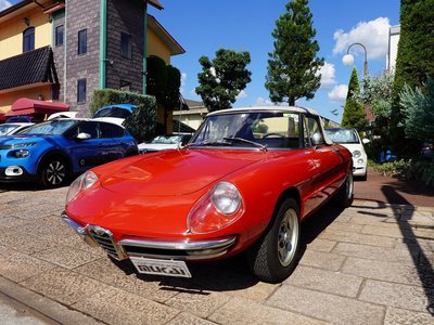 ALFA ROMEO ALFA SPIDER - 2