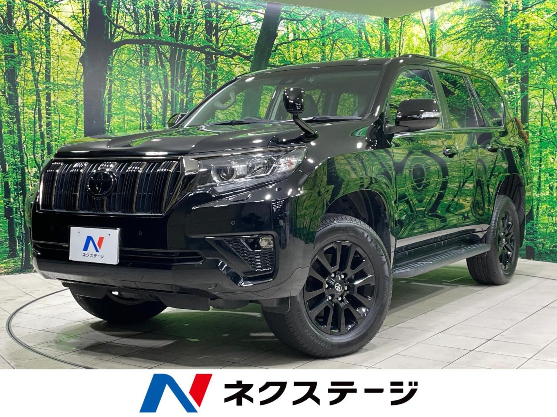 TOYOTA LAND CRUISER PRADO - View 1