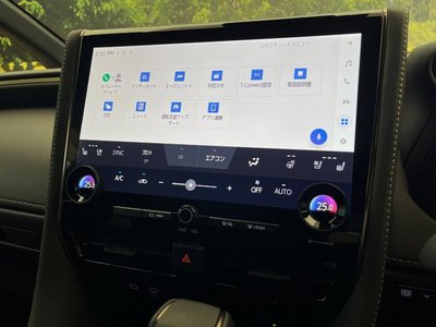 2023 Toyota ALPHARD 缩略图 25