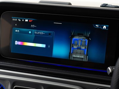 2025 Mercedes-BENZ G-CLASS — миниатюра 38