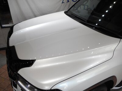 TOYOTA LAND CRUISER 300 - 4