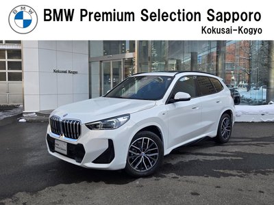 BMW X1 - 1