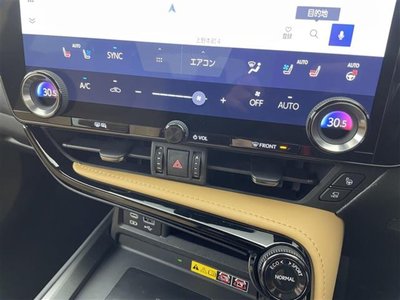 LEXUS NX - 10