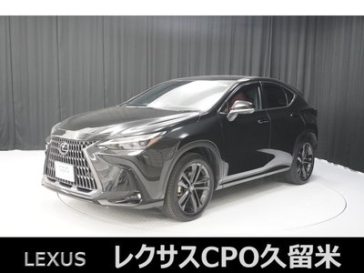 LEXUS NX - 1