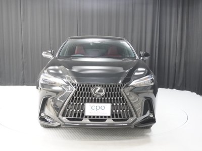 LEXUS NX - 8