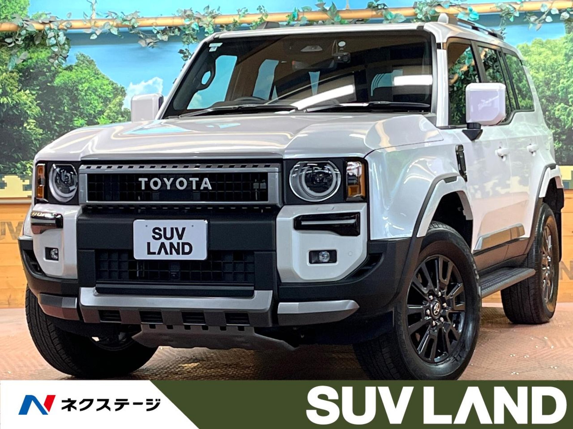 TOYOTA LAND CRUISER 250 - View 1