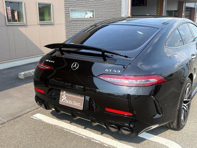 2025 Mercedes-BENZ GT AMG — миниатюра 47