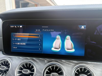 2025 Mercedes-BENZ GT AMG — миниатюра 26