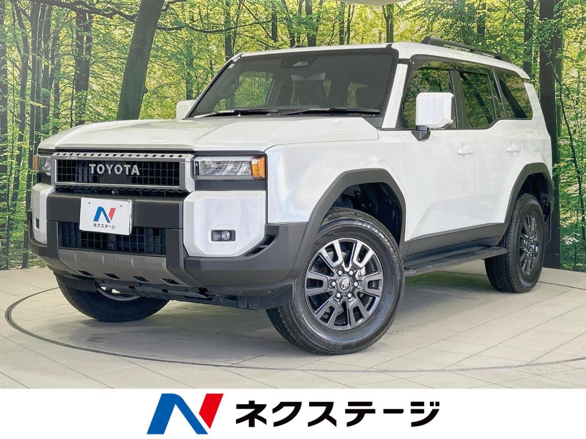 TOYOTA LAND CRUISER 250 - View 1
