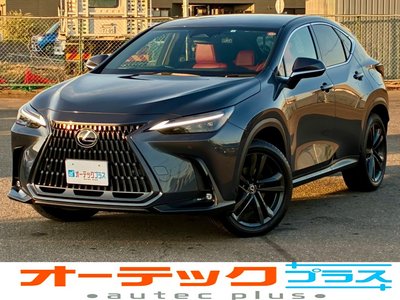LEXUS NX - 2