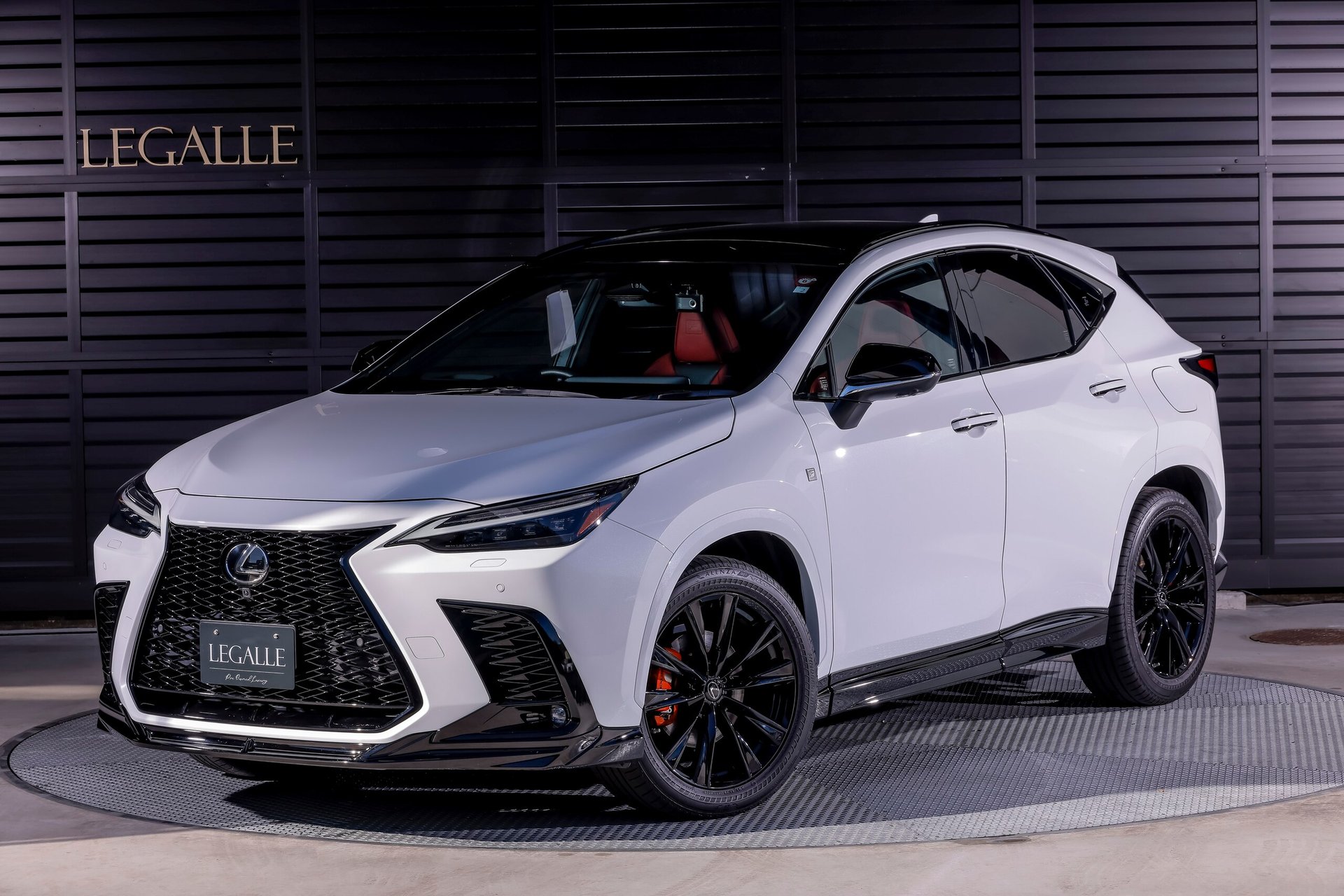 LEXUS NX - View 1