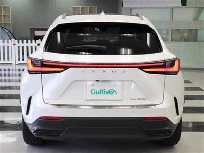 LEXUS NX - 6