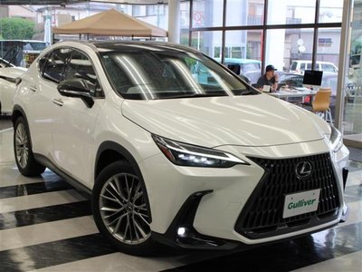 LEXUS NX - 1