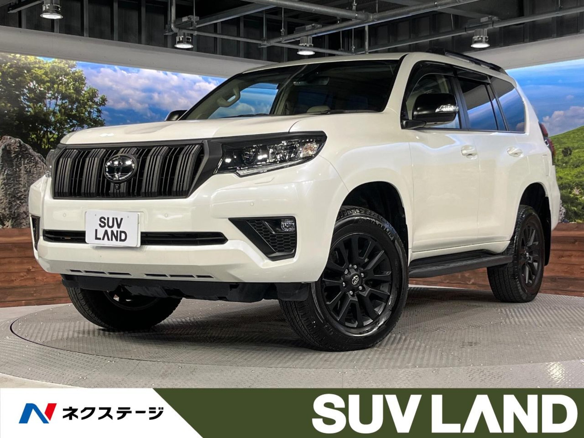 TOYOTA LAND CRUISER PRADO - View 1
