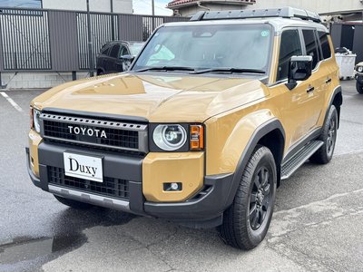 TOYOTA LAND CRUISER 250 - 10