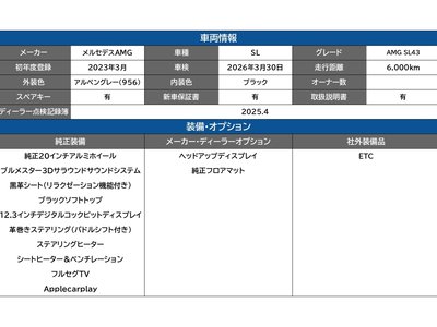 MERCEDES-BENZ SL AMG - 5