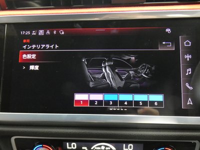 2021 AUDI RS Q3 SPORTBACK 缩略图 51