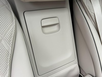 2021 Mercedes-BENZ S-CLASS 缩略图 19