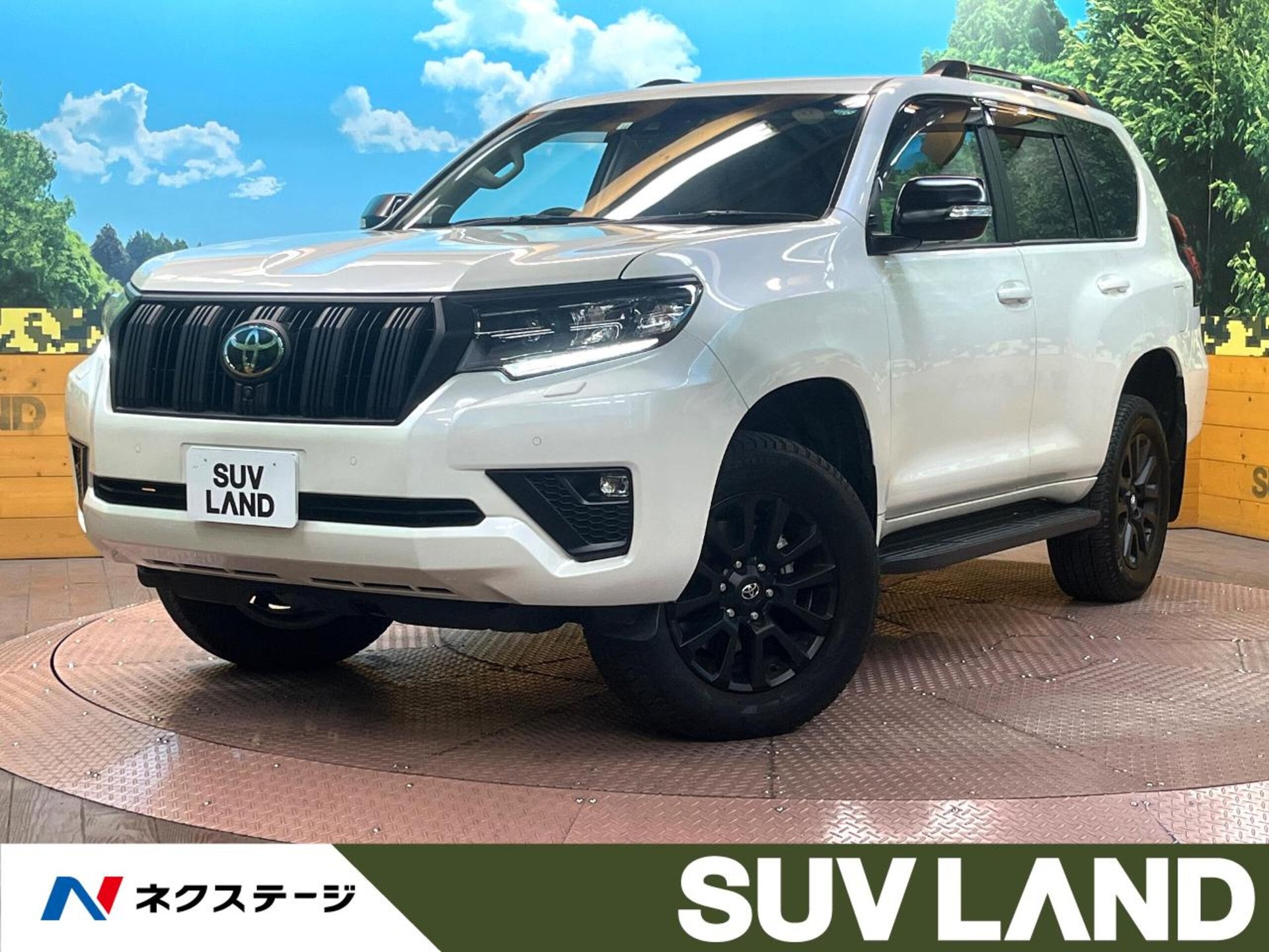 TOYOTA LAND CRUISER PRADO - View 1