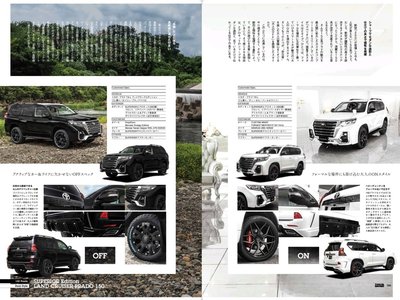 TOYOTA LAND CRUISER PRADO - 4