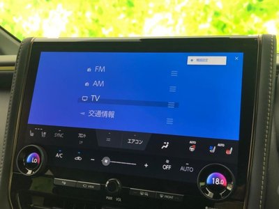 TOYOTA ALPHARD - 10