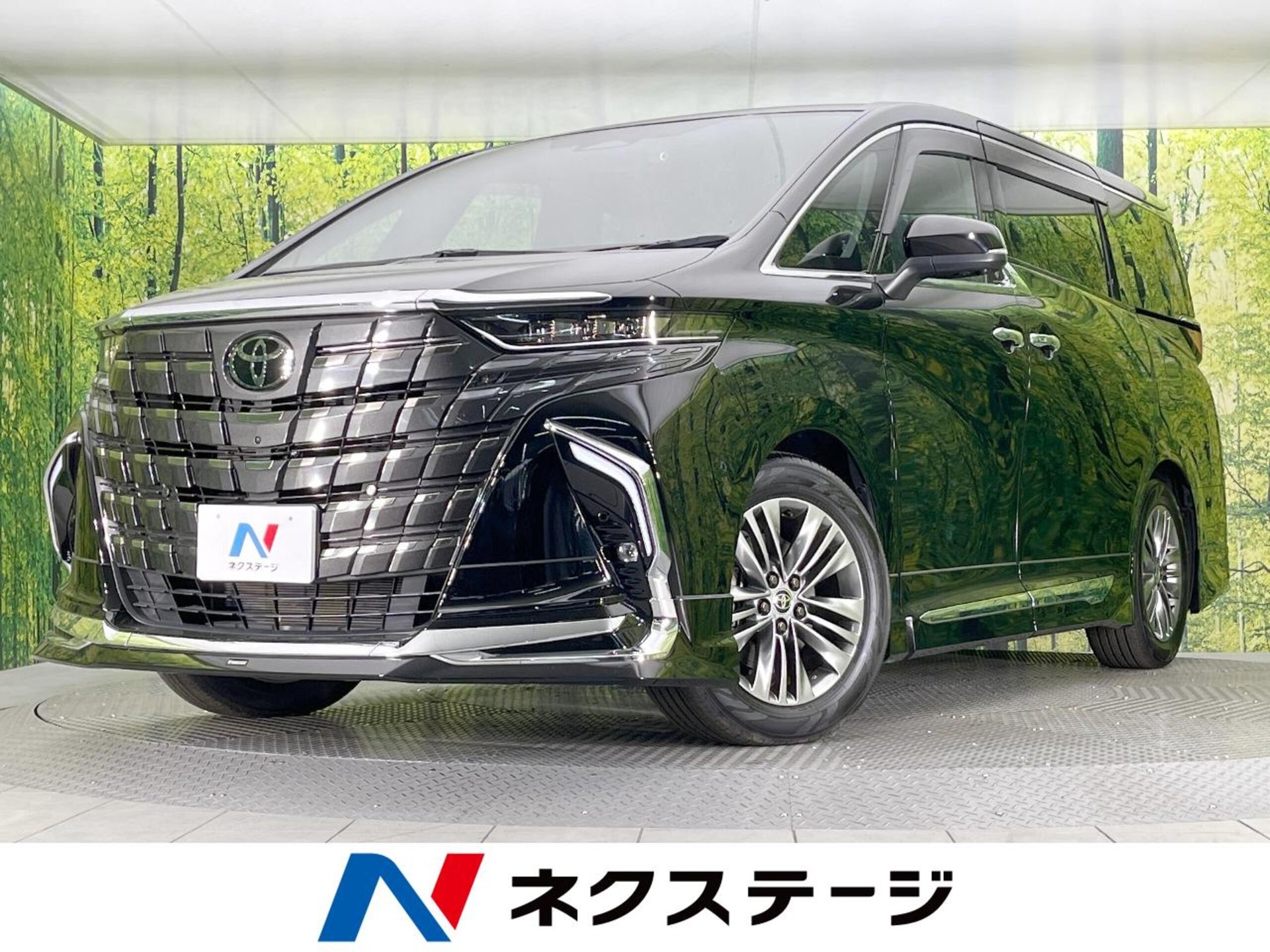TOYOTA ALPHARD - View 1