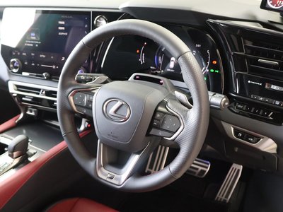 2024 Lexus RX 缩略图 29