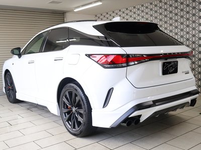 2024 Lexus RX — фото 2