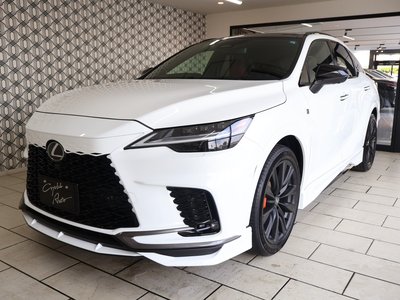 2024 Lexus RX 缩略图 46