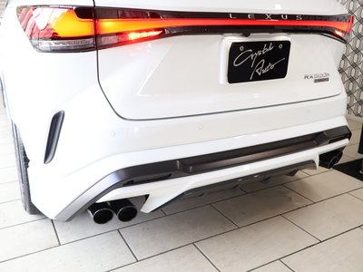 2024 Lexus RX 缩略图 63