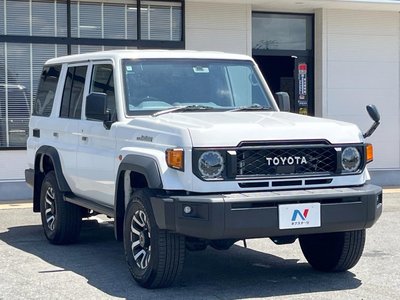 2024 Toyota LAND CRUISER 70 thumbnail 31