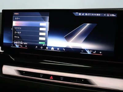 2025 BMW 5 SERIES — миниатюра 40