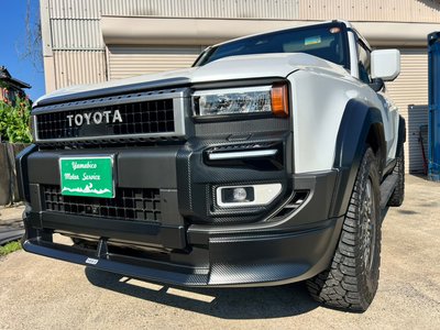 2025 Toyota LAND CRUISER 250 — фото 2