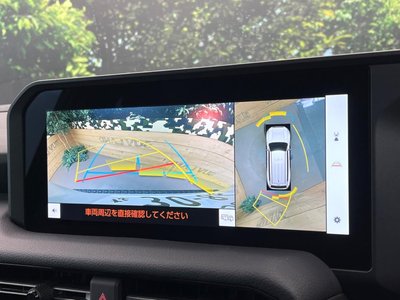 TOYOTA LAND CRUISER 250 - 5