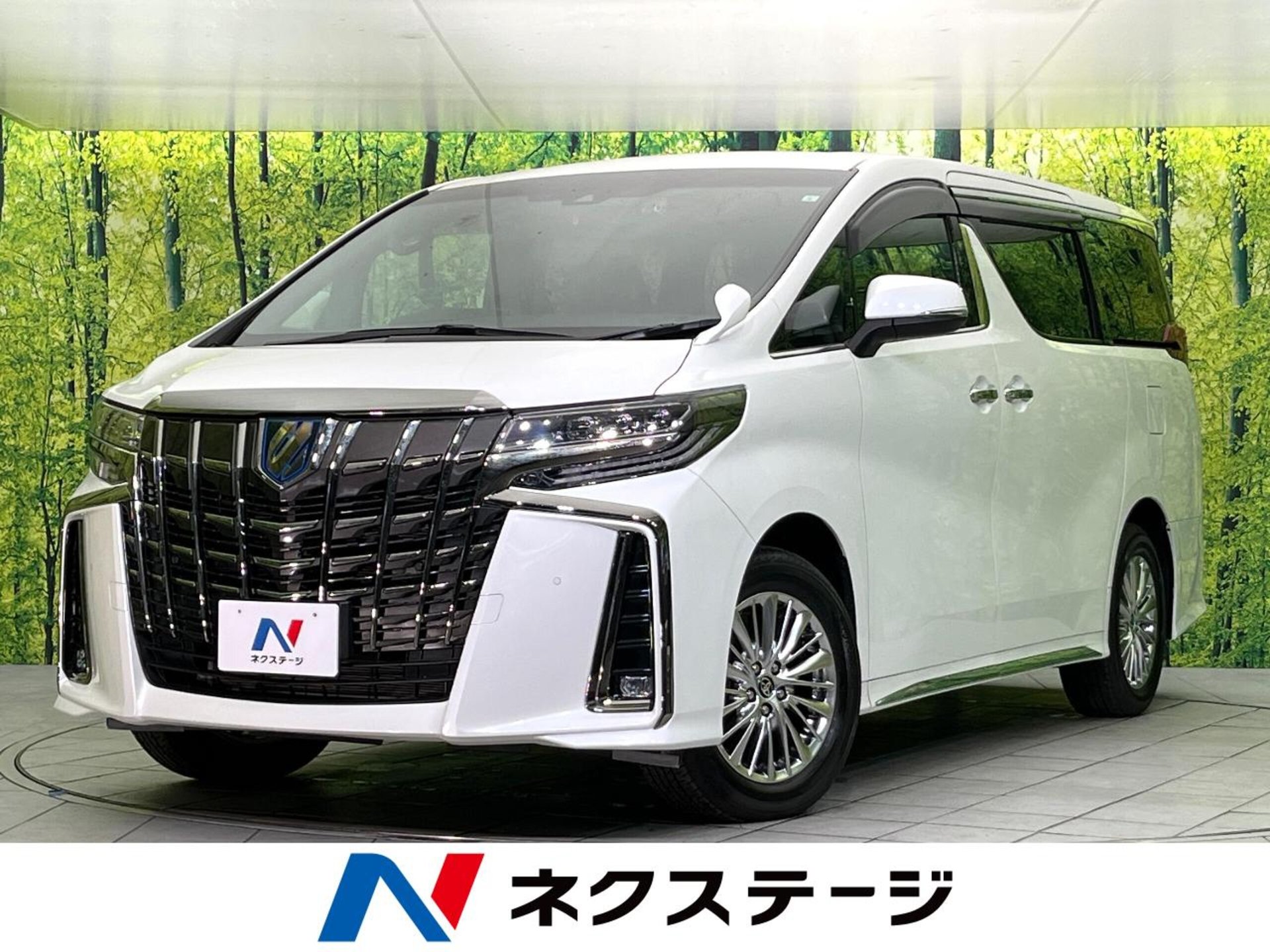 TOYOTA ALPHARD - View 1